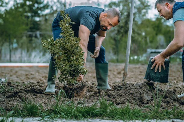 Best Tree Mulching  in Shoemakersville, PA