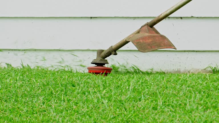 Best Lawn Irrigation Installation and Maintenance  in Shoemakersville, PA