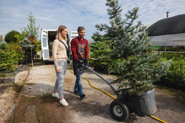 Best Fruit Tree Pruning  in Shoemakersville, PA